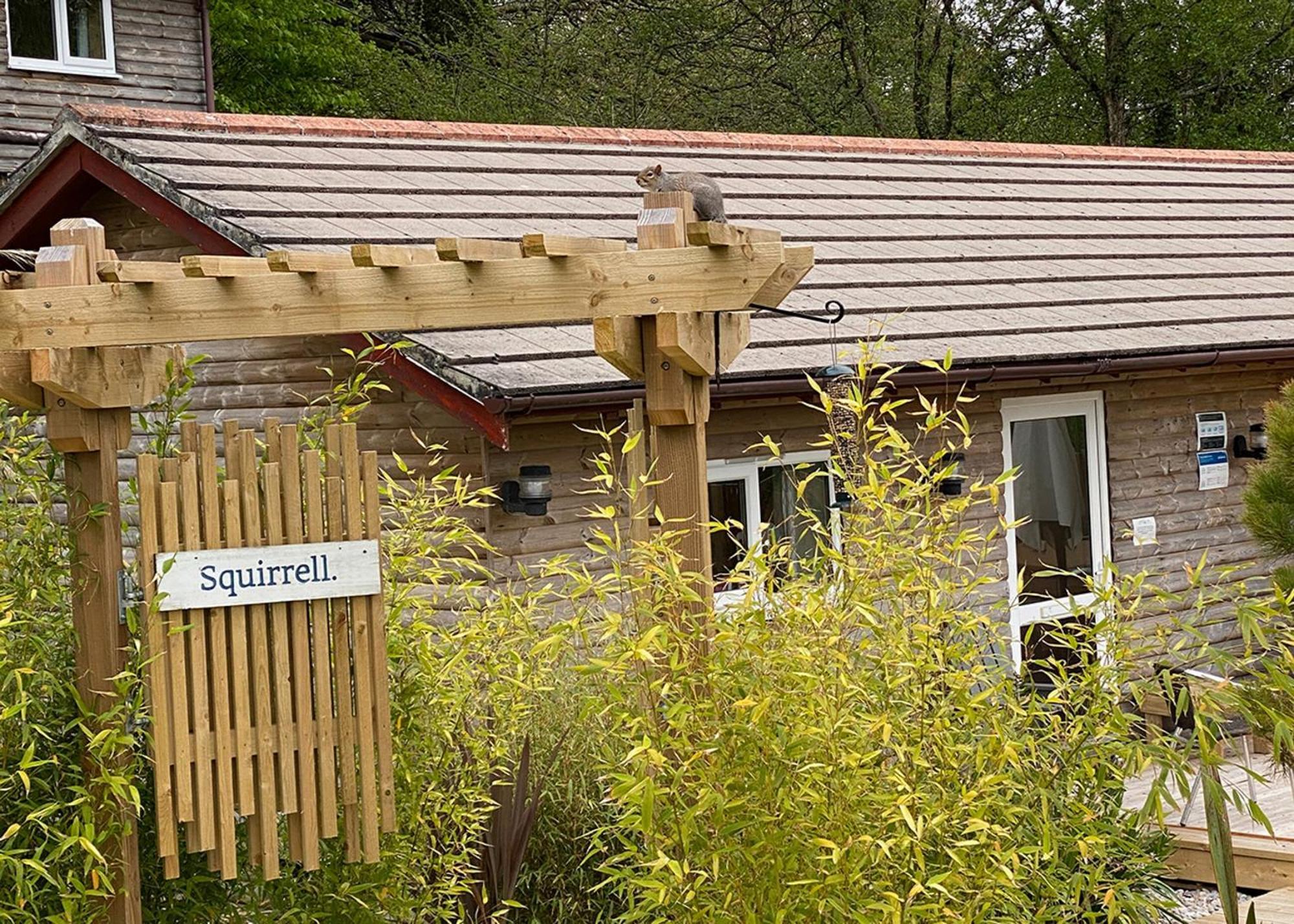 Ivyleaf Combe Lodges Stratton  Eksteriør billede